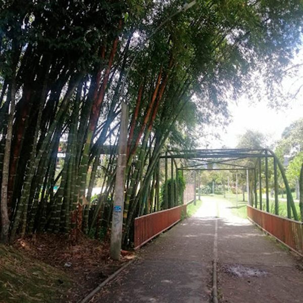 galeria-proyecto-parques-parque-linear-quebrada-la-pereira-la-ceja